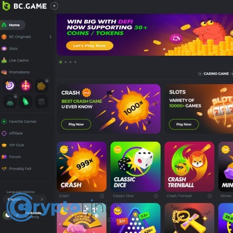 Understanding BC.Game KYC and AML Verification -782609558
